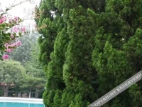 Mingfeng Hotel 3*