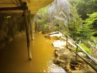 Yokoya Onsen Ryokan 3*