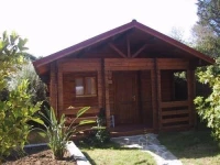 Aloruga 3*