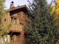 Chalet Reine Des Pres 4*