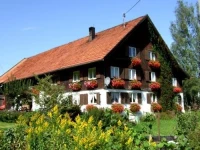 Haberstock 3*