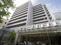 Shin-Osaka Sunny Stone Hotel 3*