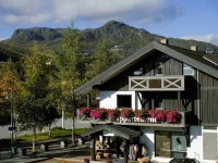 Hemsetunet Apartments 3*