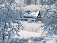 Ginsberger Heide 2*