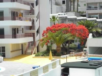 Tagara 2*