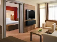 Sheraton Frankfurt Congress Hotel 5*