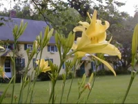 Fiddlers Green Inn 3*