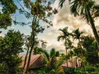 Grassroots Wayanad