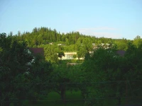 Jarzebata 