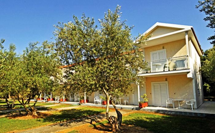 Angelika Studios 