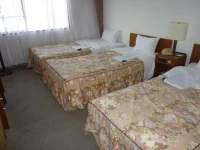 Kyoto Rich Hotel 3*