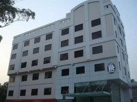 MC International
