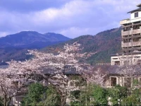 The Westin Miyako Hotel Kyoto 5*