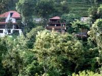 Planet Green Plantation Resort 3*