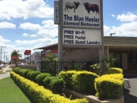 Best Western Cattle City Motor Inn 3*