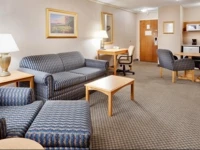Holiday Inn Auburn-Finger Lakes Region 3*