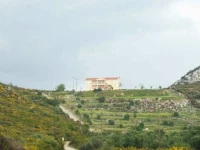Sunshine Studios Karavados 