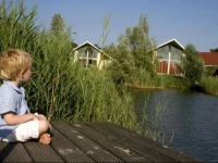 Villapark de Paardekreek 3*