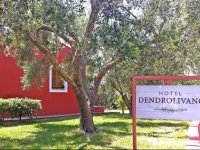 Dendrolivano 