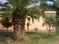 Magdas Studios 