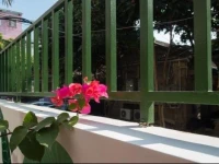 Fresh Summer Inn 