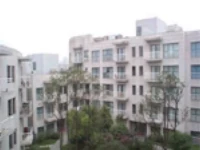 Xi Jiao 4*