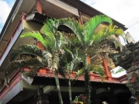 Kori Bali Inn I 1*