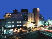 Hanabishi Hotel 