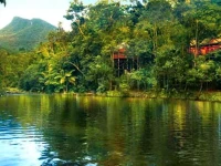 Silky Oaks Lodge Healing Waters Spa 5*