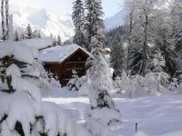 Les Chalets De la Tania 