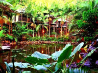 Daintree Eco Lodge Spa