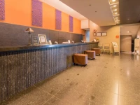 Hotel Grand Arc Hanzomon 3*