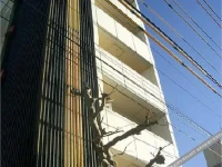 New Hotel Bandung 2*