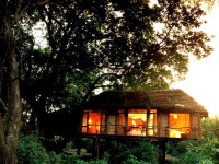 Lake Manyara Tree Lodge
