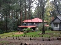 Merrow Cottages 4*
