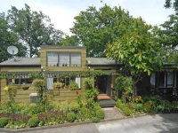 The Green House On The Hill 