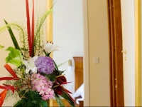 XII Apostel Albergo 3*