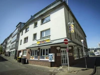 Ringeltaube 