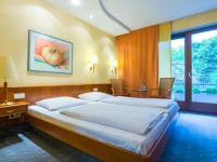 Ringhotel Zum Roten Baren 4*