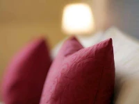 Guesthouse Heidelberg 