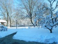Landhotel Allgauer Hof 3*