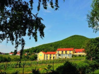 Wohlfuhlhotel Alte Rebschule