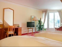 Ringhotel Hohe Wacht 4*