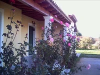 Ifigenia Villa 
