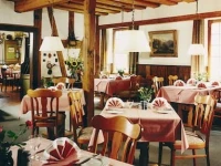 Land-gut-Hotel Gelber Lowe 3*