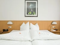 Hotel am See 3*