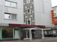 City Hotel Mercator 3*