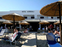 Acrogiali