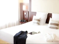 Mercure Nancy Centre Stanislas 4*