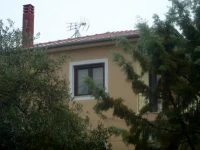 Irina Studios 
